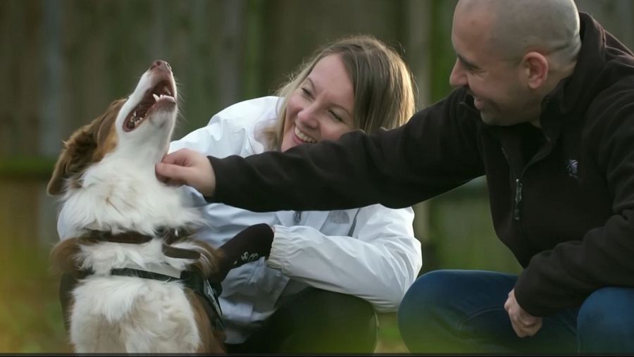Un viaje emocional hacia el instante mágico de la adopción