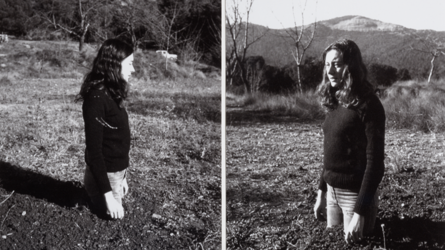 ‘Translaciones: Mujer-árbol’ (Fina Miralles, 1973)