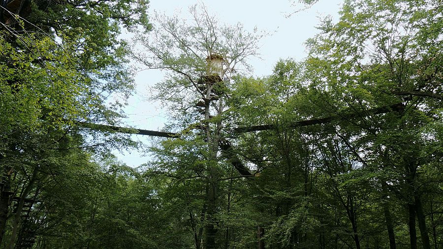 The path is never the same’ (Oliver Ressler, 2022)