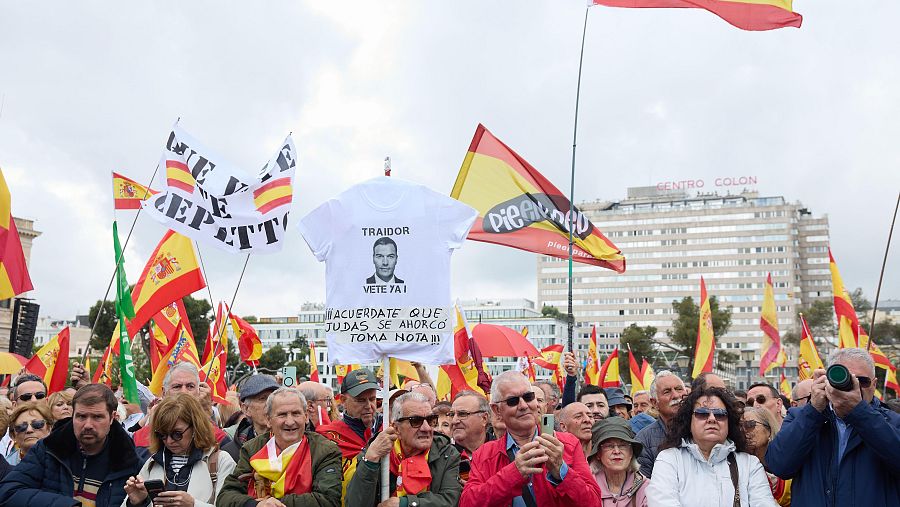Manifestación contra el Gobierno en Madrid