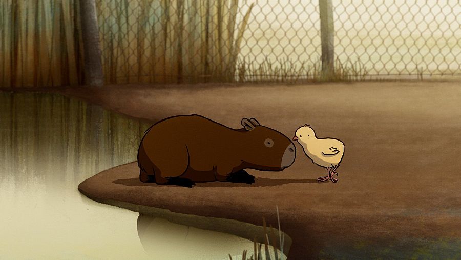 Carpincho y pollito interactúan cerca de un estanque, en un recinto con valla.  Escena tranquila y tierna.