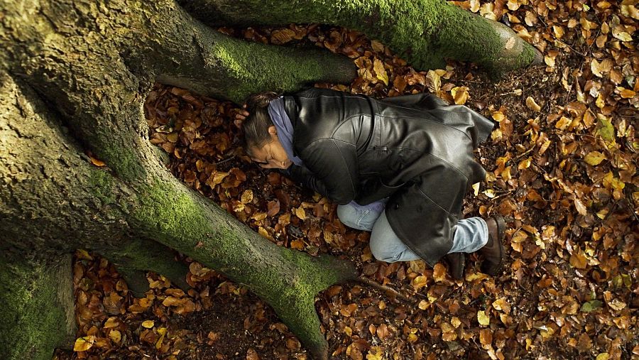 Mujer descansando en suelo boscoso, entre raíces y hojas otoñales. Perspectiva cenital, escena pacífica.