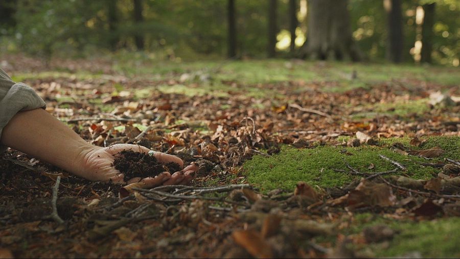 Mano sujetando humus fértil en un bosque, mostrando la conexión entre el ser humano y la naturaleza.