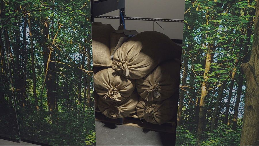 Sacos de arpillera apilados en un almacén, con paneles de bosque frondoso en los laterales. Iluminación tenue, suelo gris oscuro visible.