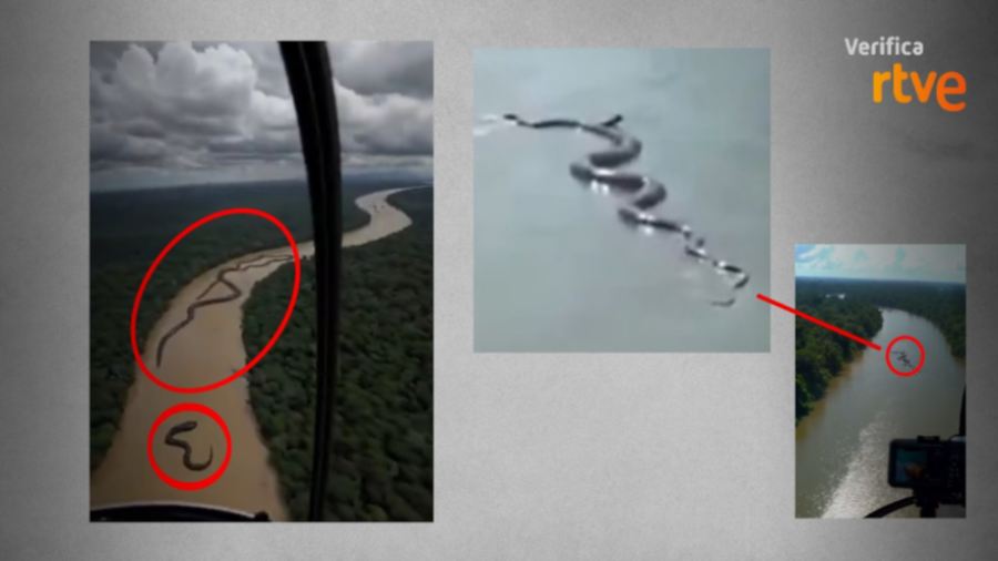 Imperfecciones que muestran los vídeos viralizados hechos con IA