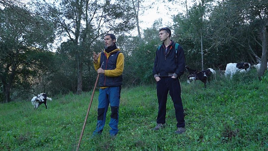 Entrevista de El Escarabajo Verde a David Barrils, Pastor de Collserola, junto a Nil Noguer, pastor voluntario