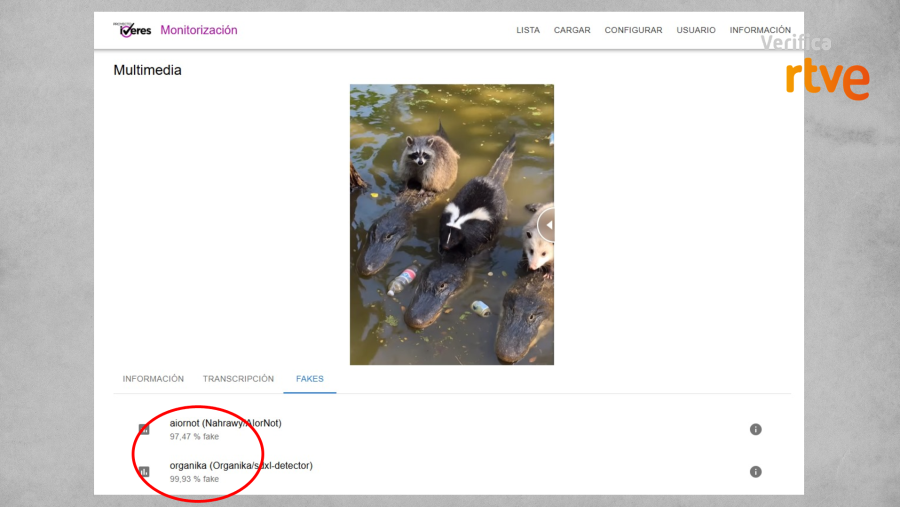 Análisis de RTVE Verifica: imagen de animales (cocodrilos, mapache, mofeta, zarigüeya) y residuos plásticos; alta probabilidad de falsedad (97.47% y 99.93%) según detectores de IA.