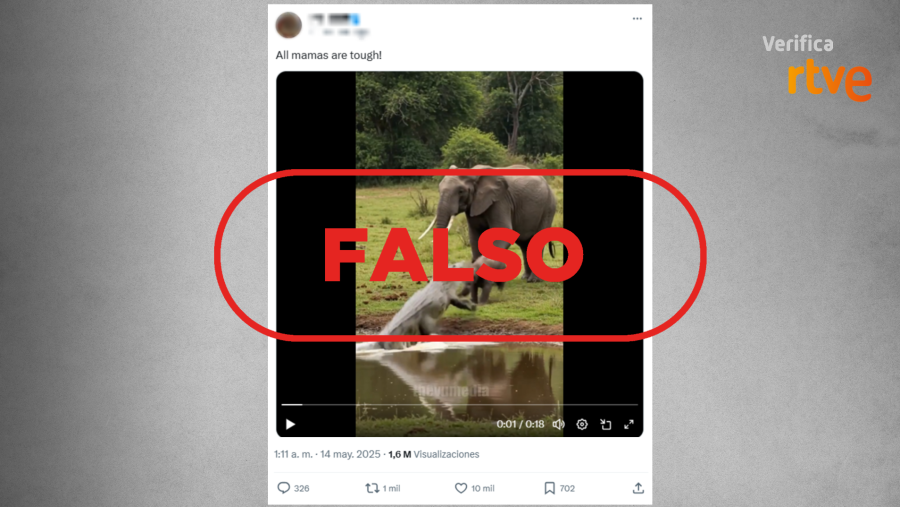 RTVE verifica como falso un vídeo de un elefante y un cocodrilo peleando, con el texto 
