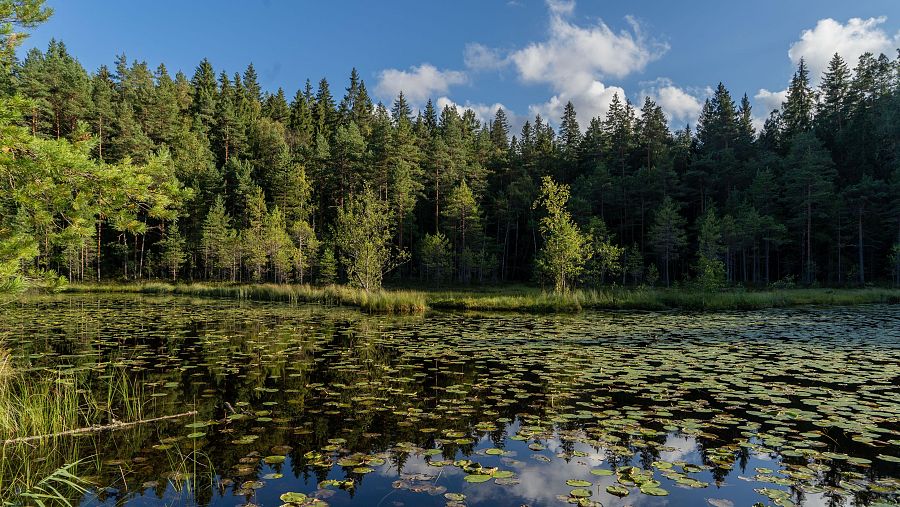 Parque Nacional de Nuuksio