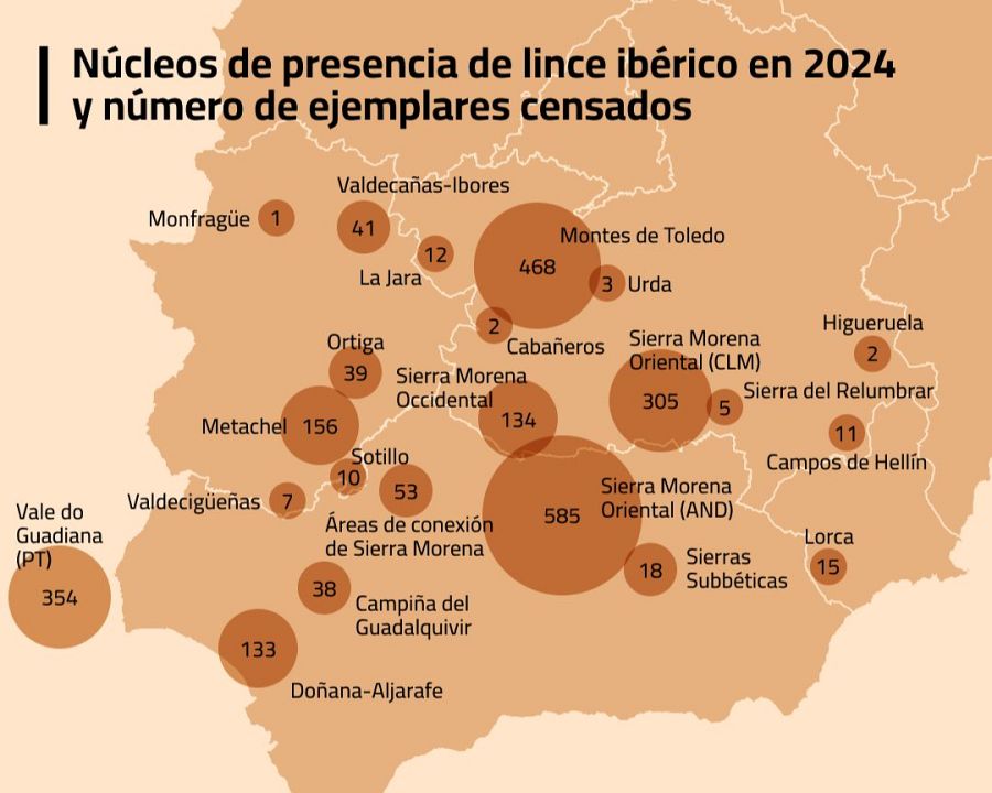 Núcleos de presencia de lince ibérico en 2024