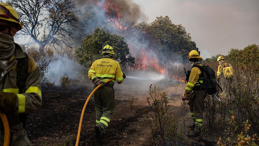 INCENDIO FORESTAL LOSACIO. COMARCAS DE ALBA, TABARA Y TERA