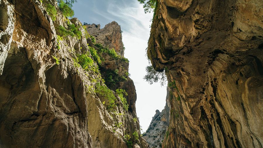 Gennargentu, pulmón oriental