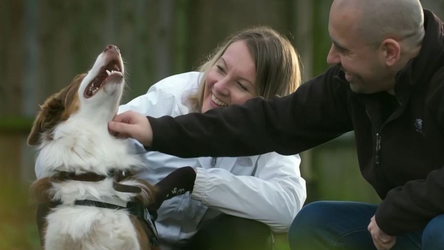 El programa sigue el viaje emocional de cada caso de adopción