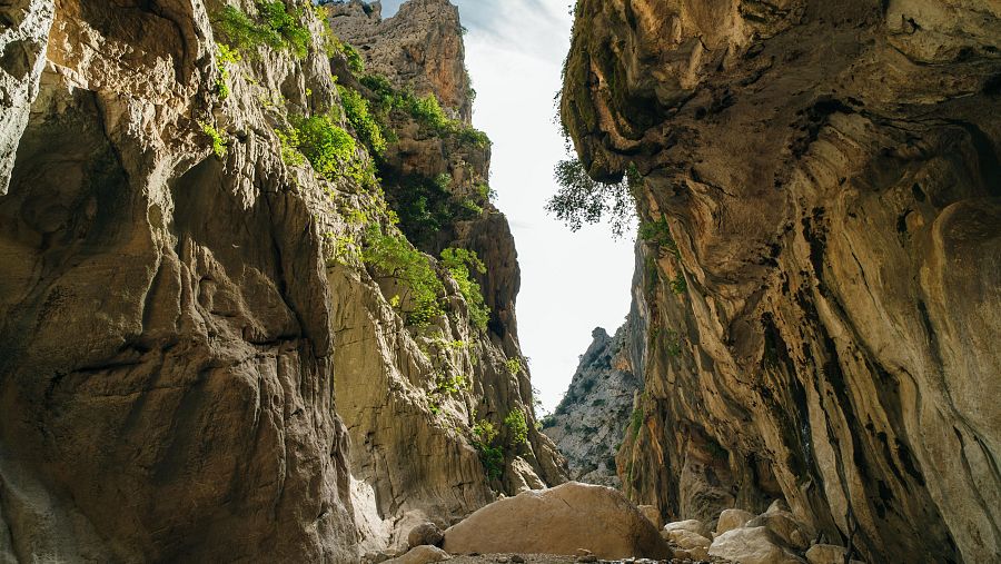 Gennargentu, pulmó oriental