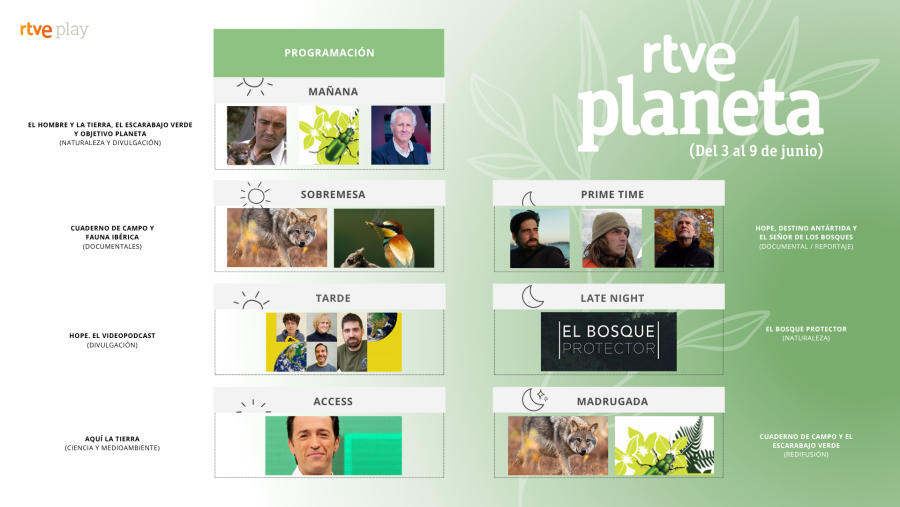 Celebra el Día Mundial del Medio Ambiente en RTVE Play con el 'Canal Planeta': ¡Conecta con la naturaleza!
