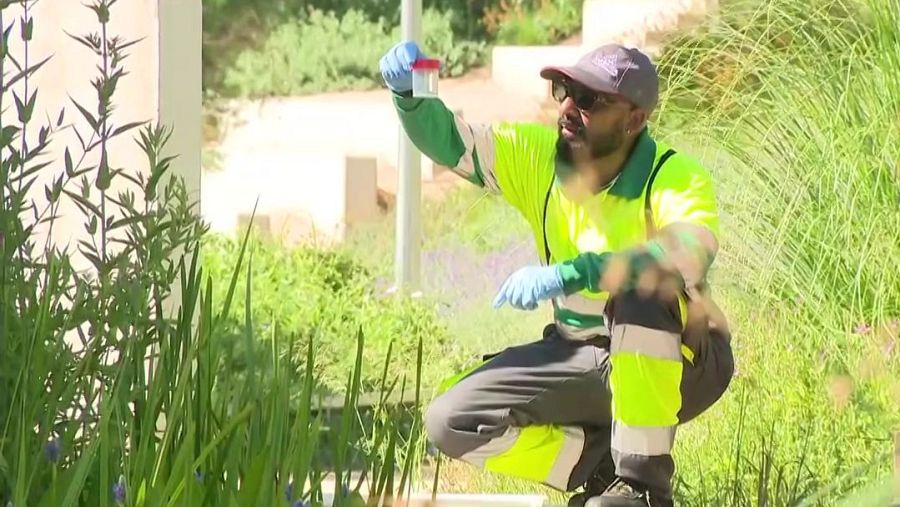 S'esperen més plagues de mosquits aquest estiu a Catalunya