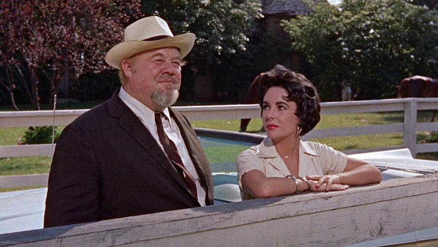 Burl Ives y Elizabeth Taylor en una escena campestre, apoyados en una valla blanca. Él viste traje oscuro y sombrero; ella, blusa clara.  Ambas expresiones son serias/pensativas.