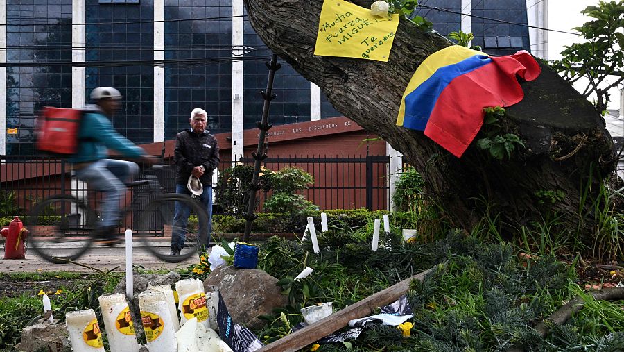 Memorial improvisado con velas, carteles y bandera colombiana junto a un árbol. Un hombre observa la escena mientras un ciclista pasa.