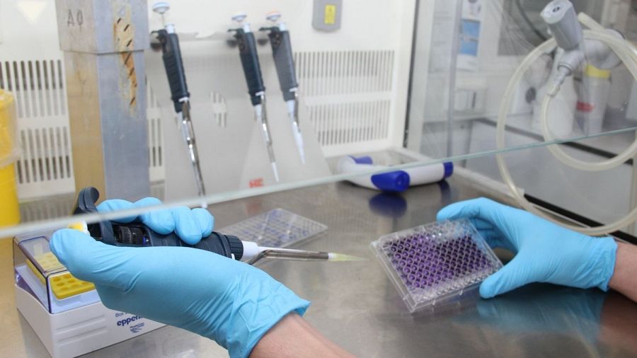 Un estudio español acerca el fin de la alopecia