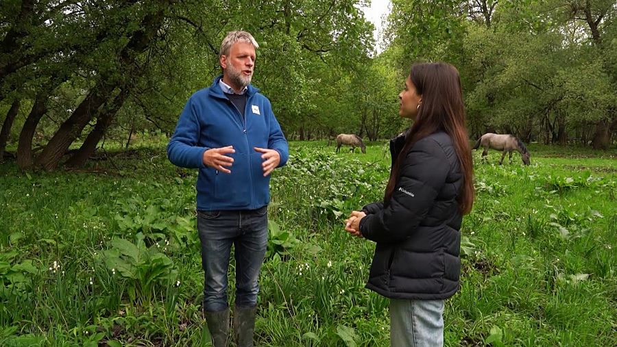 Jurrien Westerhof, de WWF, nos acompaña durante la visita a la reserva de Marchegg
