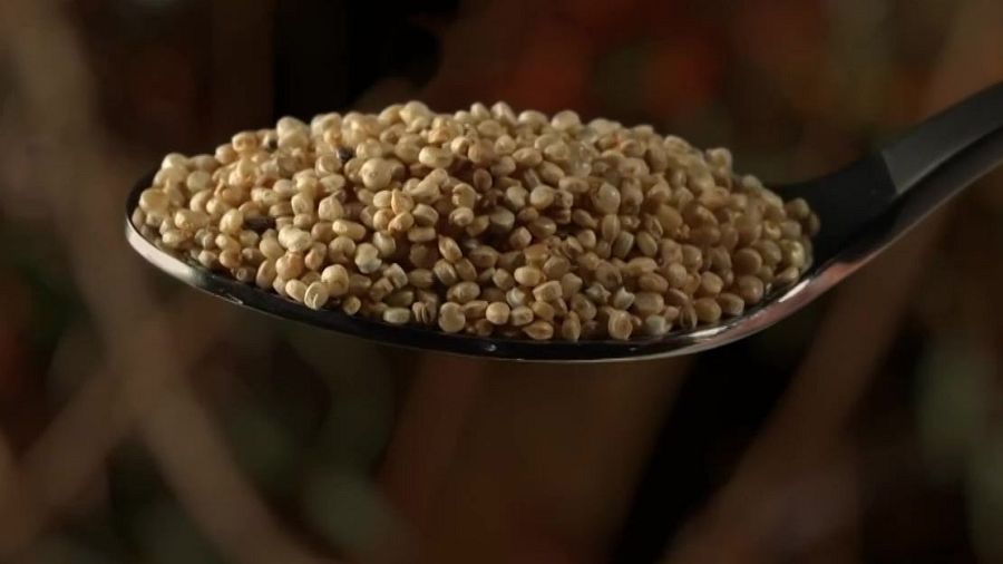 Aquests 3 superaliments t'ajudaran a cuidar la salut aquest estiu