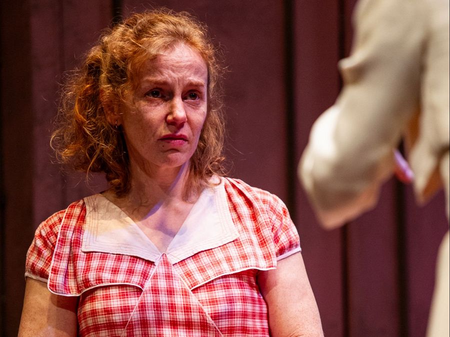 Actriz con vestido a cuadros rojos y blancos interpretando un papel dramático en un escenario teatral.  Expresión seria y mirada dirigida fuera del encuadre.