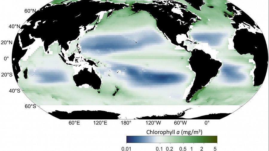 Cambios de color en el agua oceánica