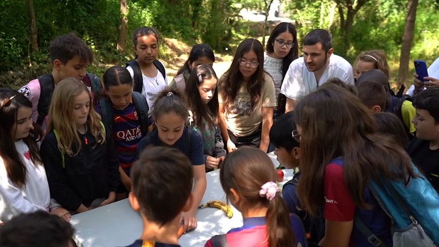 Ferran Campillo, coordinador Unidad Pediatría Ambiental del Hospital de Olot, en una actividad educativa con un colegio