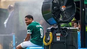 Palmeiras - Botafogo: Vítor Roque