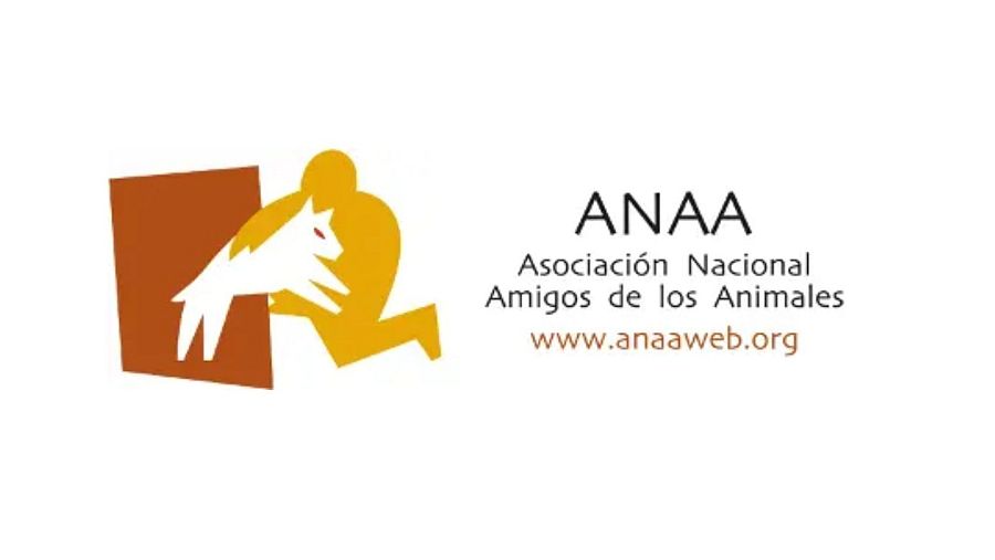 Adopta con las protectoras de 'Dog House'