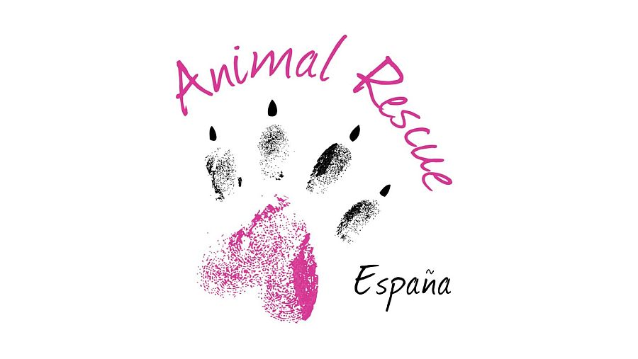 Adopta con las protectoras de 'Dog House'