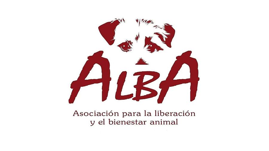Adopta con las protectoras de 'Dog House'