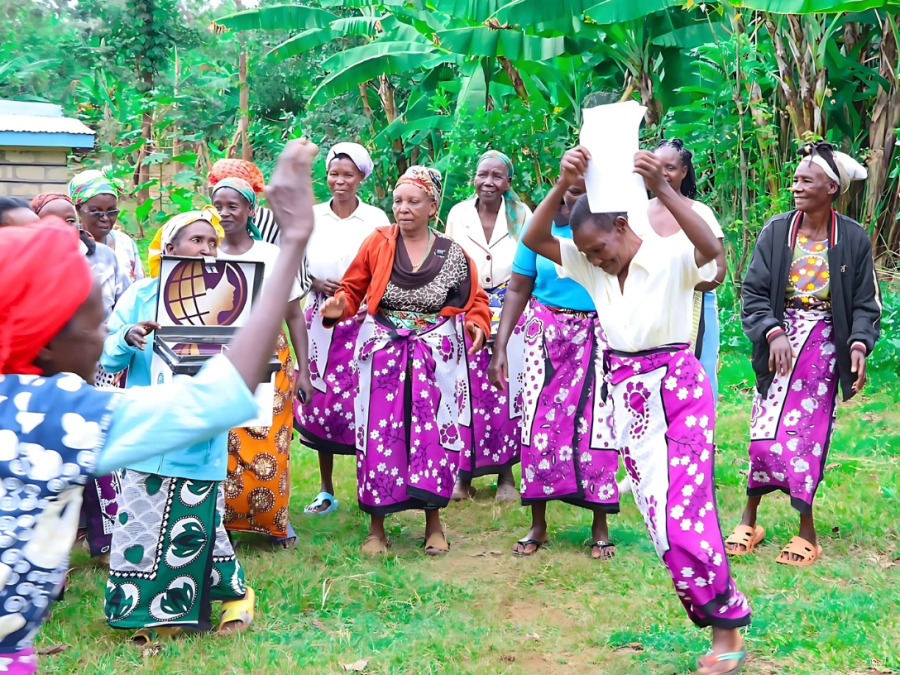 La brecha de género en la financiación al desarrollo