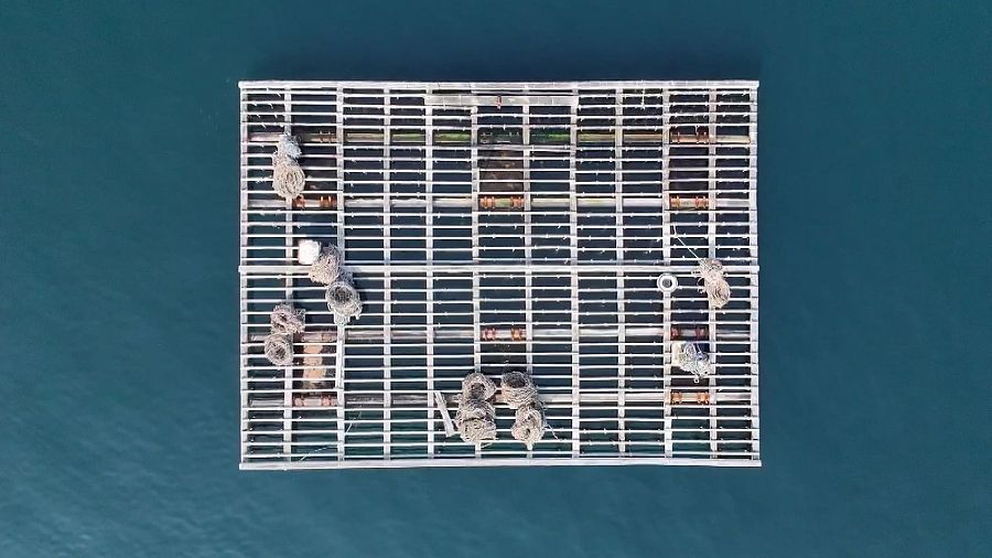Vista cenital de una batea rectangular de metal con una rejilla, cuerdas y contenedores sobre ella, en el agua.
