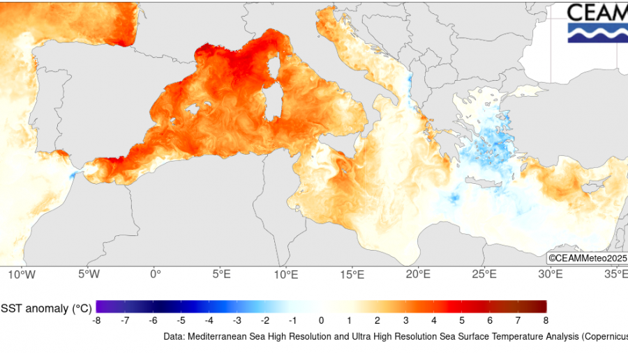 Anomalía de temperaturas en el Mediterráneo respecto al periodo 2008-2024 el pasado 30 de junio