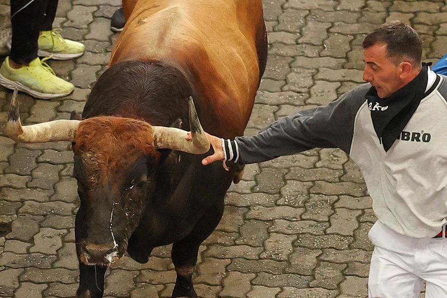 Primer encierro de los Sanfermines 2025: los astados llegan a la plaza de toros
