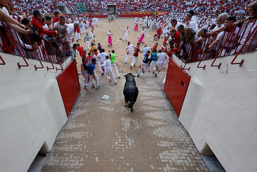 Toro negro embiste en callejón durante encierro. Corredores en blanco y rojo intentan esquivarlo.  Espectadores observan desde gradas llenas.