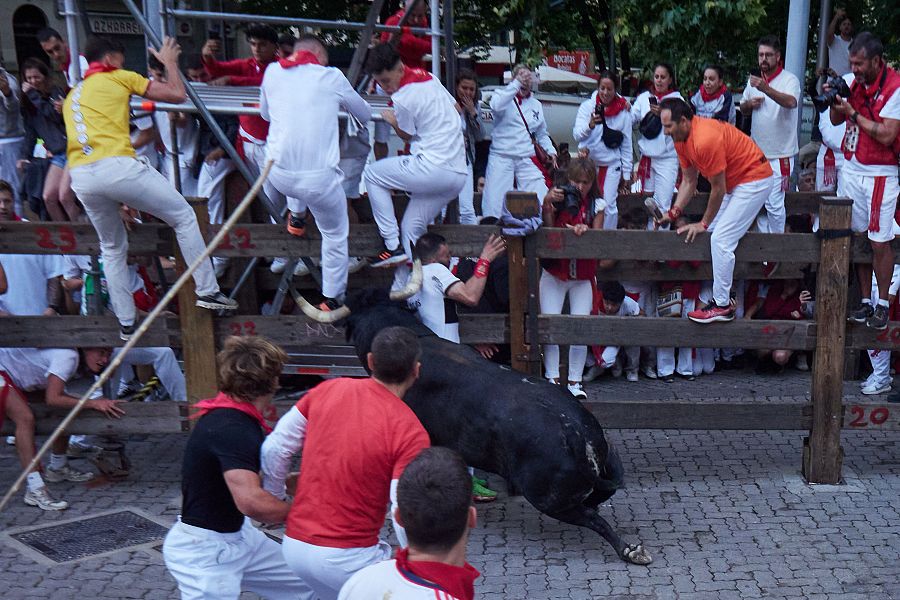 Toro negro corriendo en un encierro, perseguido por corredores. Algunos buscan protección tras una valla de madera.  Escena de tensión y peligro.