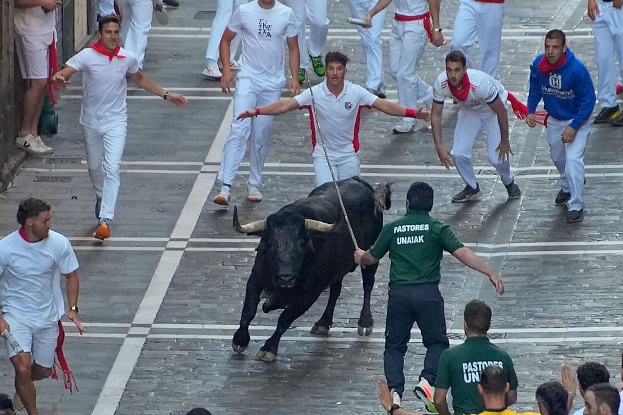 San Fermín 2025: uno de los toros de la ganadería Cebada Gago se queda retrasado y los pastores intentan reconducirlo en el tramo de Estafeta.