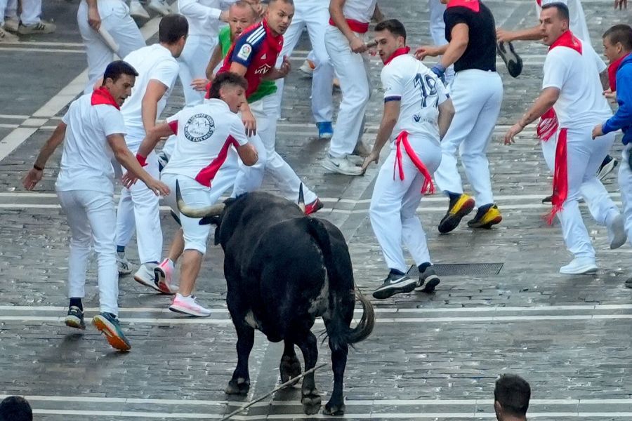 San Fermín 2025: varios corredores son perseguidos por uno delos toros de la ganadería Cebada Gago en el tramo de Estafeta