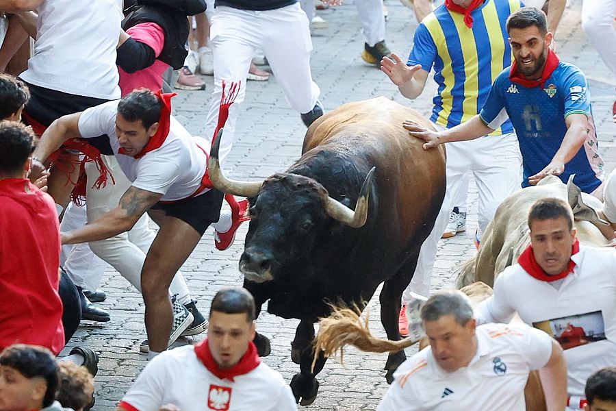 San Fermín 2025: los mozos son perseguidos por uno de los toros de la ganadería Álvaro Núñez