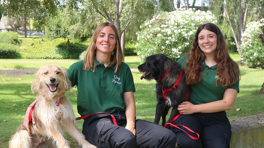 'Dog House': ¿en qué consiste el nuevo reality de adopción de perros de RTVE?