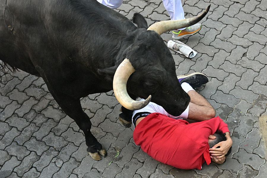 San Fermín 2025: uno de los mozos se protege la cabeza tras caer al paso de uno de los toros de Victoriano del Río