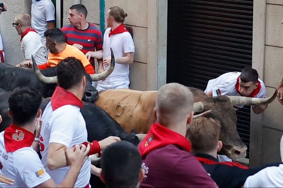 San Fermín 2025: los toros de La Palmosilla protagonizan este séptimo encierro de San Fermín