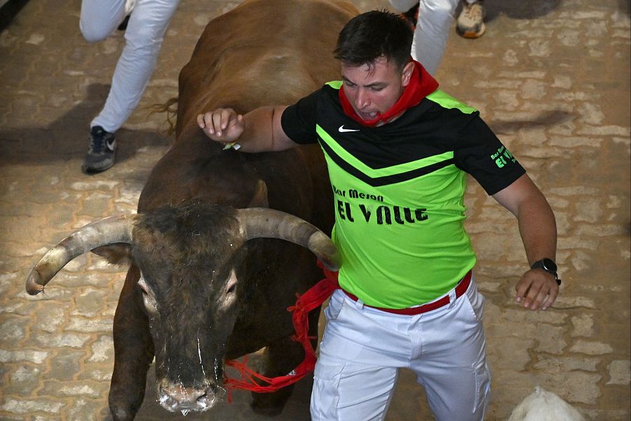 San Fermín 2025: los toros de La Palmosilla llegan al callejón de la plaza de Pamplona