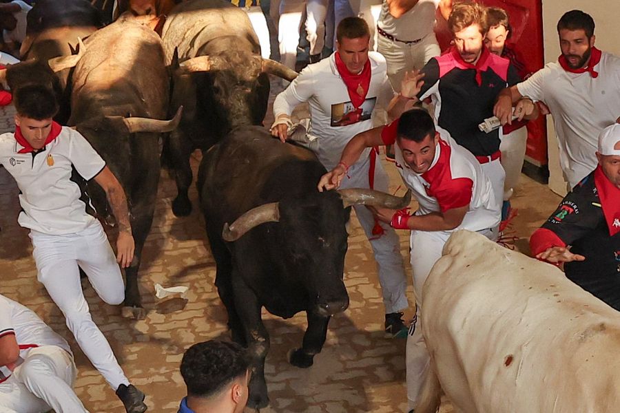 San Fermín: los Miura han hecho una espectacular entrada en el callejón de la plaza