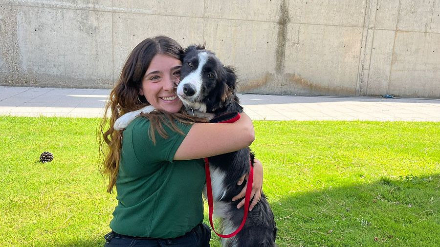 'Dog House': ¿en qué consiste el nuevo reality de adopción de perros de RTVE?