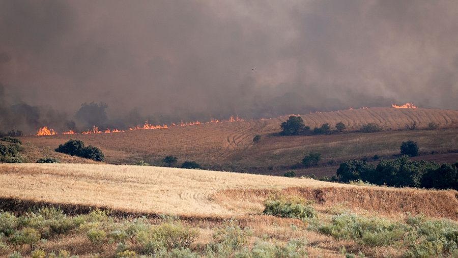 Los impactantes efectos del incendio de Méntrida, Toledo, en imágenes