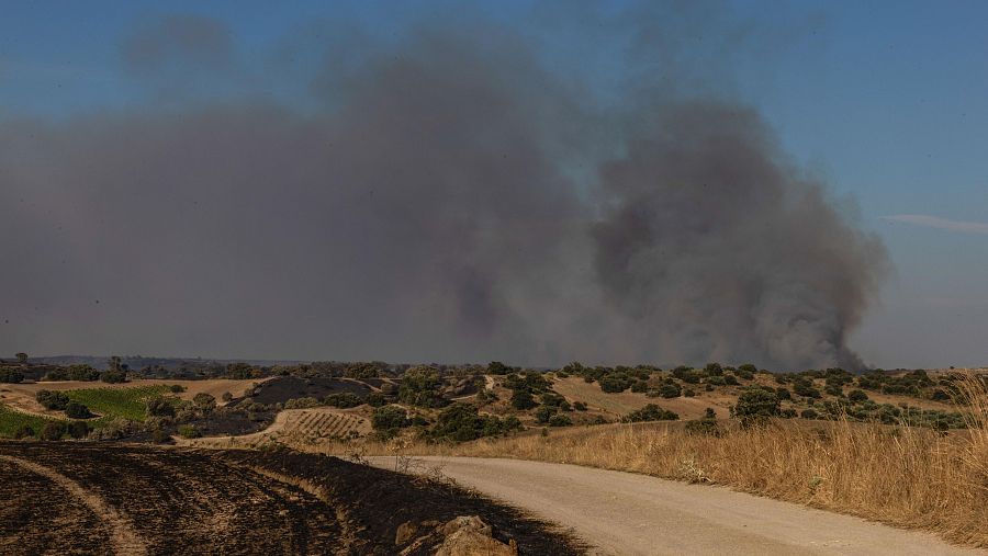 Los impactantes efectos del incendio de Méntrida, Toledo, en imágenes