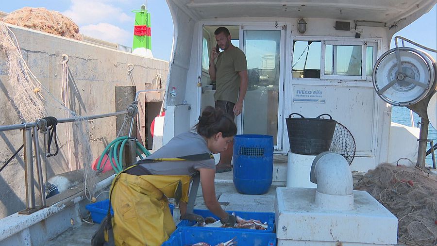 Mujer clasificando pescado en cubierta de barco pesquero; hombre en cabina hablando por teléfono;  elementos de pesca visibles.